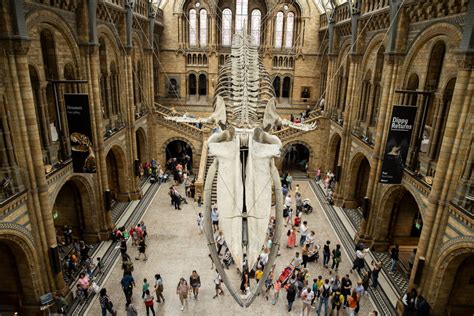 London’s Natural History Museum Has Apologized for Renting Its Space to ...