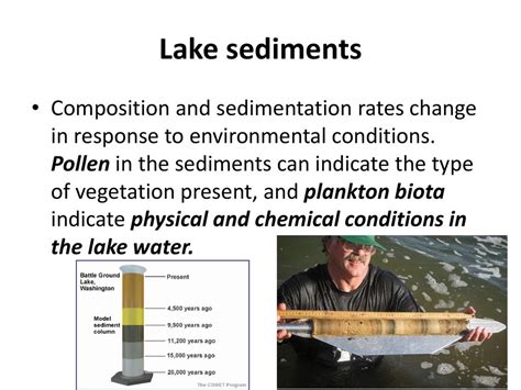 Sediments. - ppt download