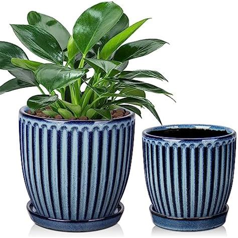 Amazon.com : Summer Impressions Terrecotta Succulent Pots Round 7 and 5.5 Inch Ceramic Plant Pot ...