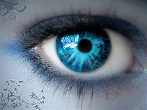 Blue Eyes wallpaper | 1600x1200 | #3639