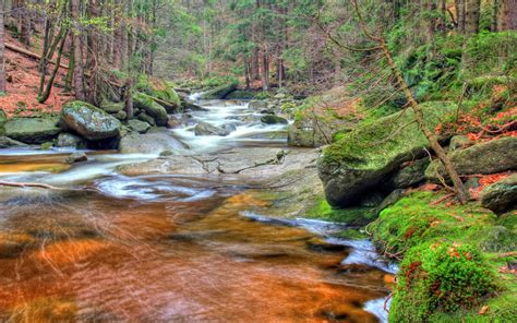 Download HDR Moss Nature River 4k Ultra HD Wallpaper