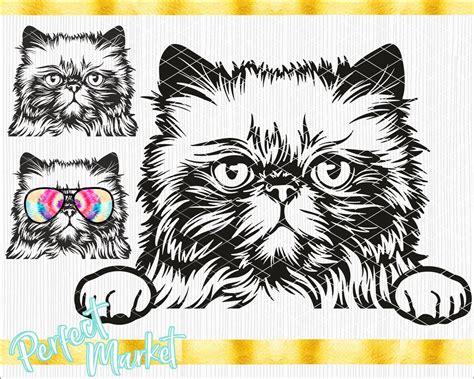 Persian Cat Silhouette Cute Cat Vector Cute Cat Pngcute Cat - Etsy