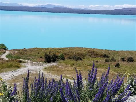 Mount Cook Scenic Flights, New Zealand - Dave's Travel Corner