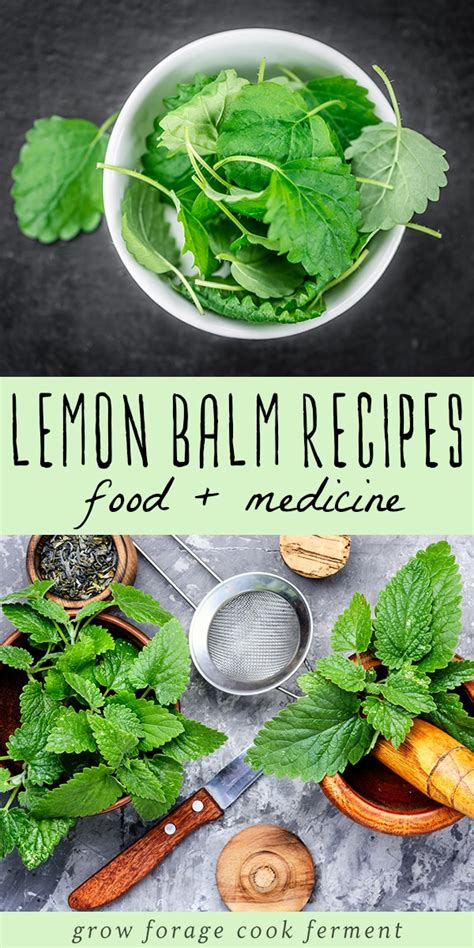 Lemon Balm Recipes: food, drinks, remedies, + more!