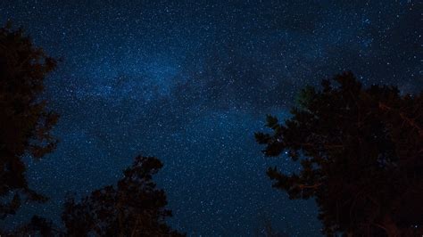 1920x1080 Starry Sky, Night, Earth, Stars, Tree wallpaper JPG - Coolwallpapers.me!