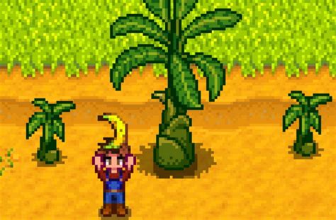 Stardew Valley will add banana trees in a new update - Gayming Magazine