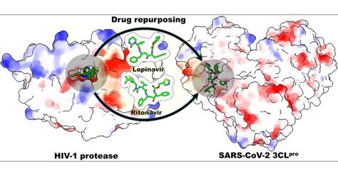 Why Are Lopinavir and Ritonavir Effective against the Newly Emerged ...