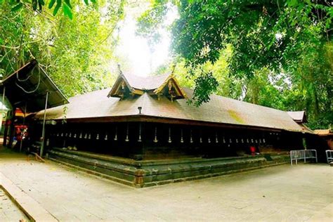 The Sacred Groves of Kerala - Sarpa Kavu - Blog Kerala