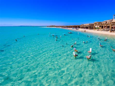 Shark Attack Hurghada Dream Beach