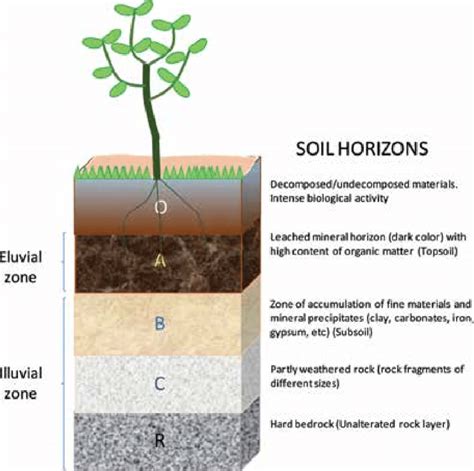 What Is Soil Profile And Explain Soil Profile Nature Factors | Images ...