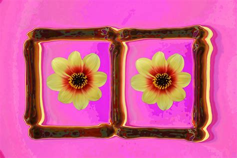 Pink Flower Frame Free Stock Photo - Public Domain Pictures