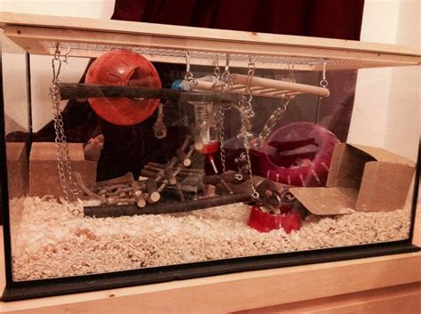 Home made mice cage - tanks or cages are really costly in the shops. This is a second hand fish ...