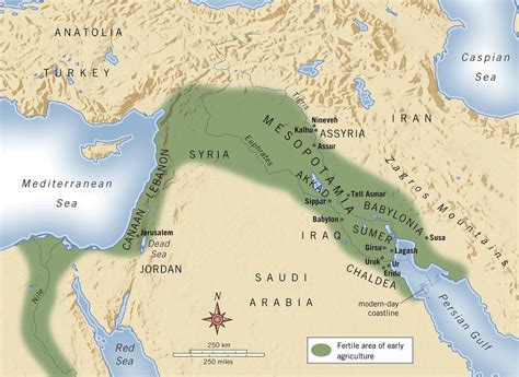 ancient mesopotamia- the land between the rivers - SBMS 6th Grade world cultures