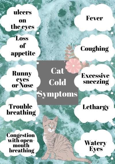 How Long Does Cat Cold Last? - 7 Proven & Effective Remedies