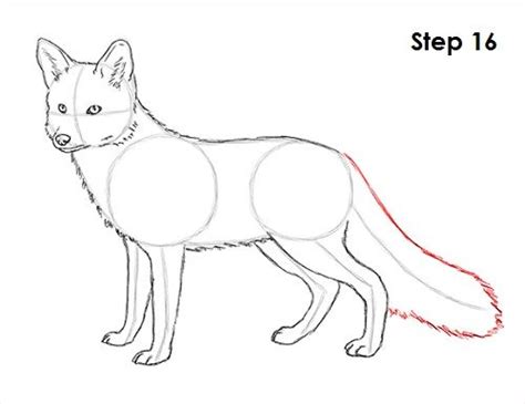 red fox drawing easy - Oliva Leger