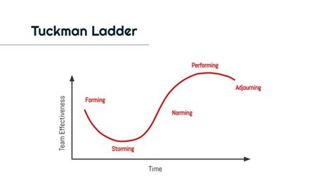 Debashish Saha on LinkedIn: #teambuilding #teamdevelopment #tuckmanladdermodel