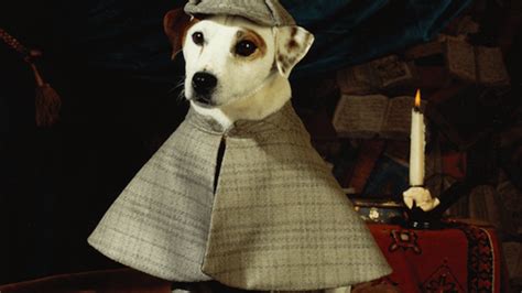 10 Classic Facts About ‘Wishbone’ | Mental Floss