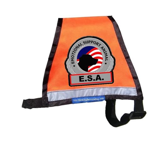 Premium Small Reflective Emotional Support Dog Vest | workingservicedog.com