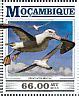 Short-tailed Albatross stamps - mainly images - gallery format