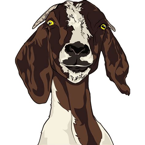 Goat face clipart. Free download transparent .PNG | Creazilla