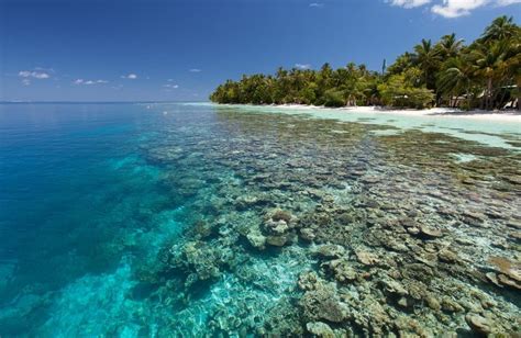 Vilamendhoo For Amazing Diving With All-Inclusive