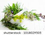 Lavender Flowers White Background Free Stock Photo - Public Domain Pictures