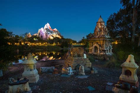 Disney: Expedition Everest at Night | Disney photography, Animals of ...