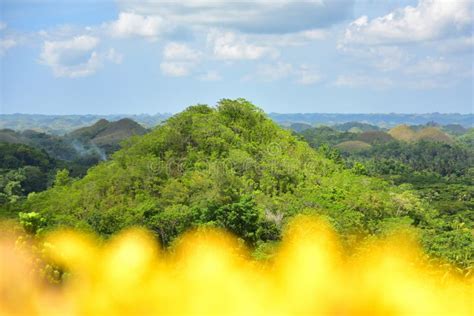 The Chocolate Hills Geological Formation in Bohol in Philippines Stock ...