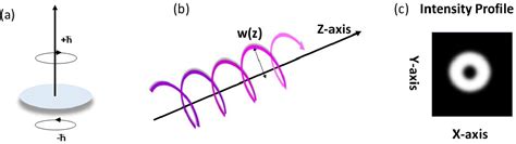 [PDF] Spin-Orbit Angular Momentum Conversion in Metamaterials and ...