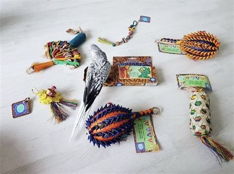 Who needs a re-stock of their favorite all natural bird toys? FREE ...