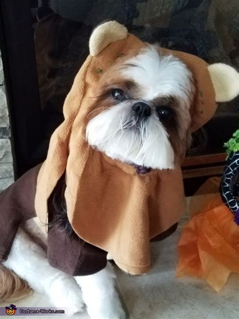 Ewok Dog's Halloween Costume | Original DIY Costumes