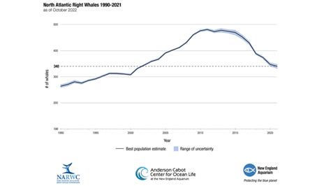 Concerning report shows critically endangered North Atlantic right ...