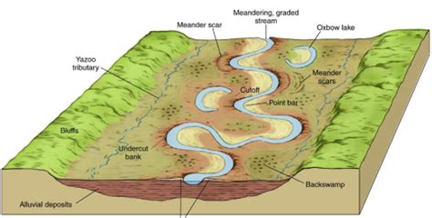 Meander | What, Formation | A Level Geography Revision