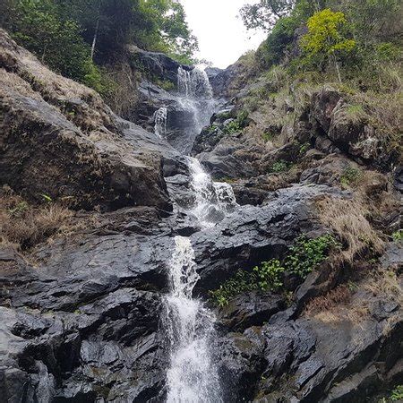 Iruppu Falls (Kodagu (Coorg)) - 2018 All You Need to Know Before You Go ...