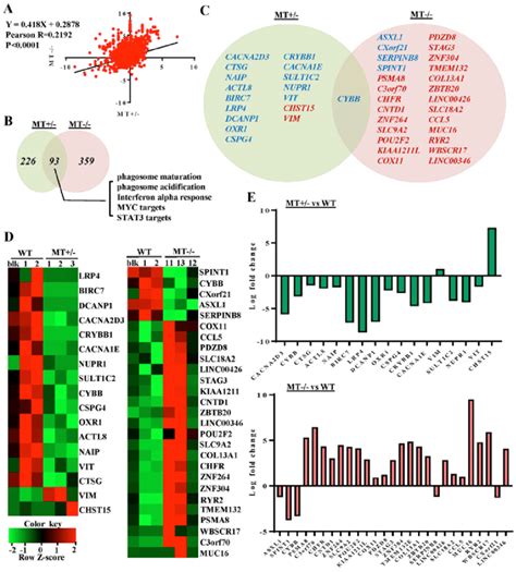 Gene expression analysis of WT and ASXL1-mutated U937 cells by RNA-seq.... | Download Scientific ...