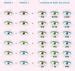 how to choose your babys eye color eye color chart eye color color - baby eye color calculator ...