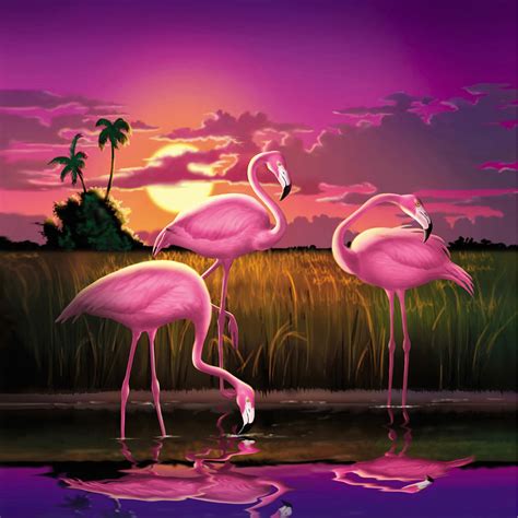 Pink Flamingos At Sunset Tropical Landscape - Square Format Digital Art by Walt Curlee