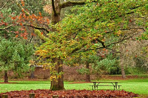 WASHINGTON PARK ARBORETUM — Nature Me