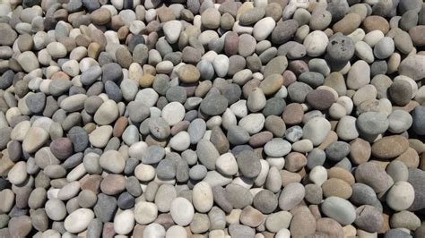 Buy Kerala Blue Pebbles | Available in 20kg Bags | Foras Stone