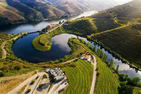 On The Douro Road: Your Guide to Wine Tourism in Portugal