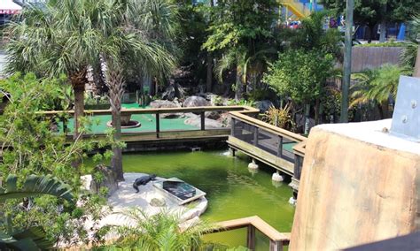 Gator Golf Adventure Park - Up To 37% Off - Orlando, FL | Groupon