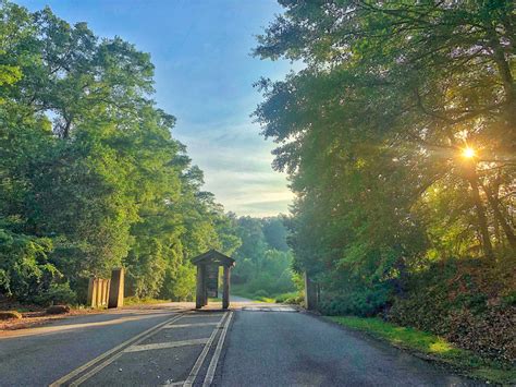 Gallery: State Botanical Garden of Georgia - UGA Today