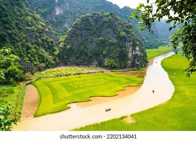 1,004 Tam Coc Rice Paddy Field Images, Stock Photos & Vectors ...