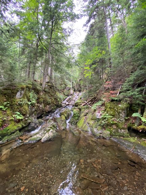 Hiking Dixville Notch, Table Rock, and Mount Gloriette | Jeff Senterman