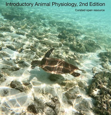 Introductory Animal Physiology 2nd Edition – Simple Book Publishing