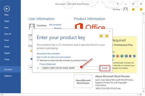 Microsoft Office Professional Plus 2013 Product Key