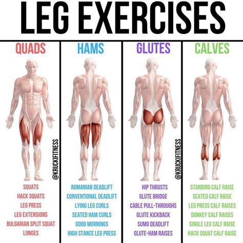 Gain Size And Strength For Muscular Legs In 4 Weeks - GymGuider.com ...