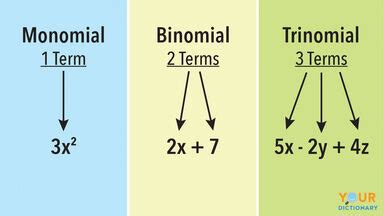 Examples of Monomials and Polynomials