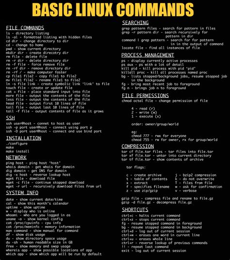 Basic Linux Commands - GoOribi Inc.