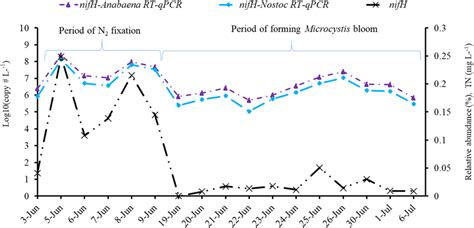 Nif gene expressions in Anabaena (nifH-Anabaena RT-qPCR) and Nostoc... | Download Scientific Diagram